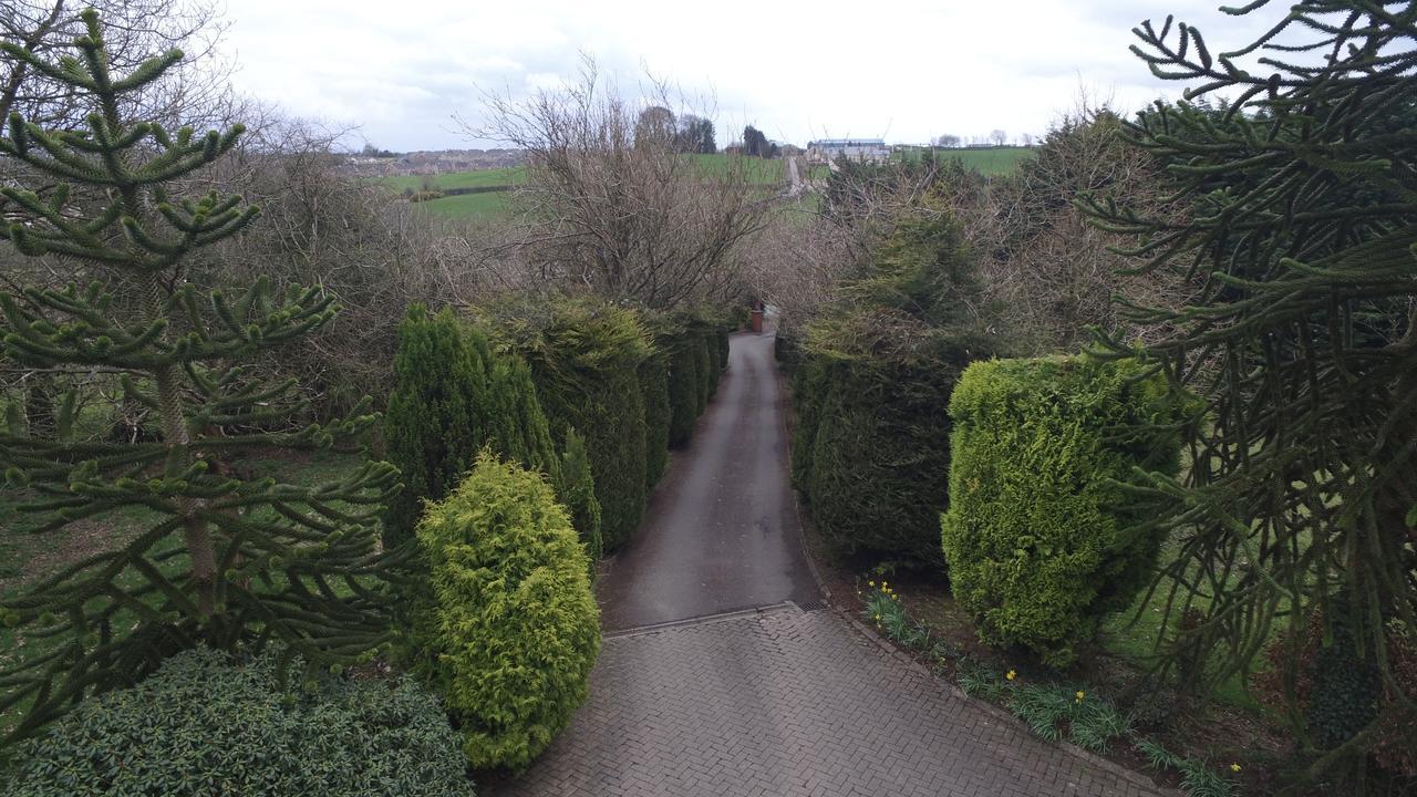 Pinewood Lodge Guest House Omagh Buitenkant foto